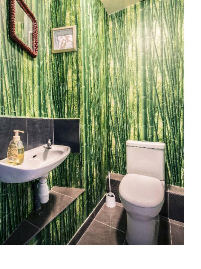 Duplex Sous Les Toits Palau-del-Vidre Exterior foto
